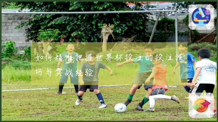 如何精准把握世界杯投注的投注技巧与实战经验