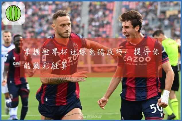 掌握世界杯让球竞猜技巧,提升你的购彩胜算