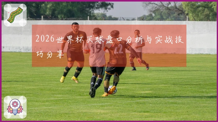 2026世界杯买球盘口分析与实战技巧分享