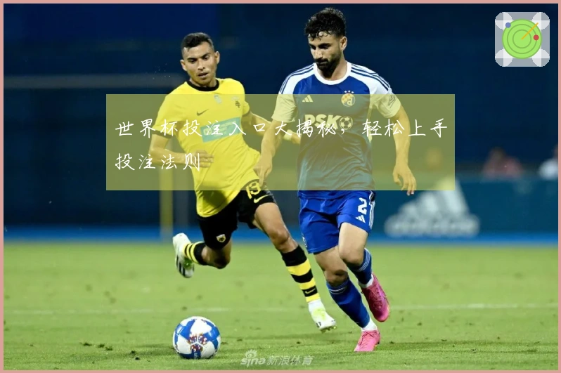 世界杯投注入口大揭秘，轻松上手投注法则