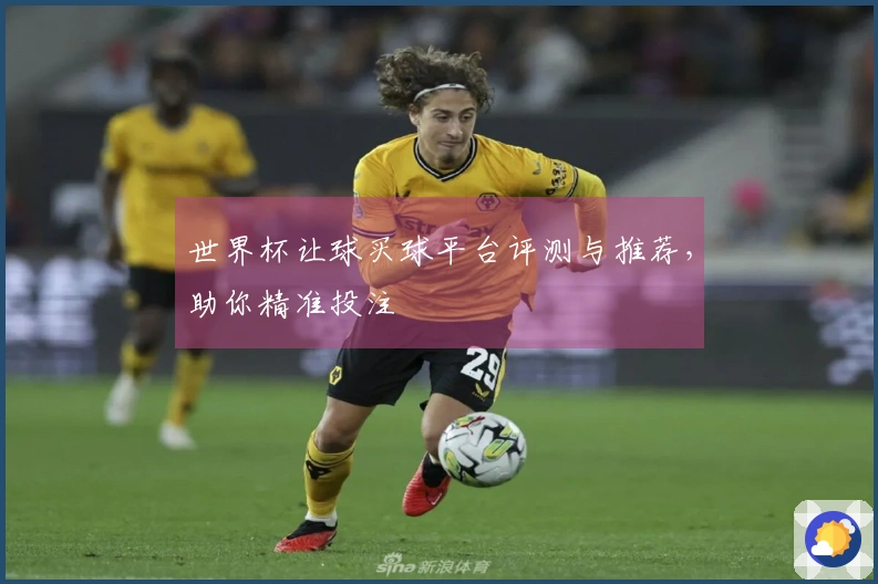 世界杯让球买球平台评测与推荐，助你精准投注