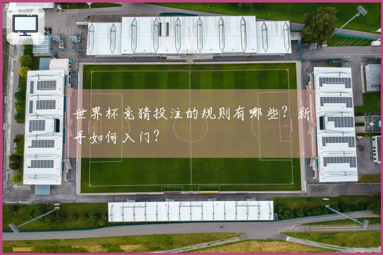 世界杯竞猜投注的规则有哪些?新手如何入门?
