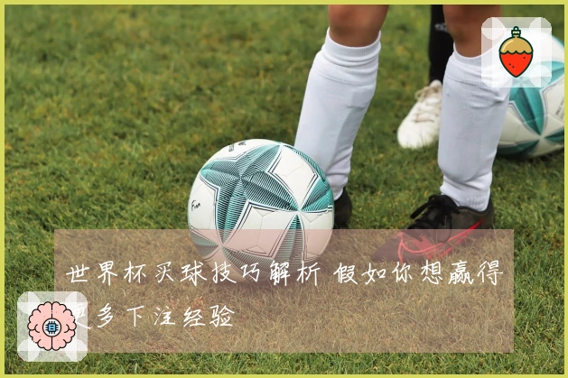 世界杯买球技巧解析 假如你想赢得更多下注经验
