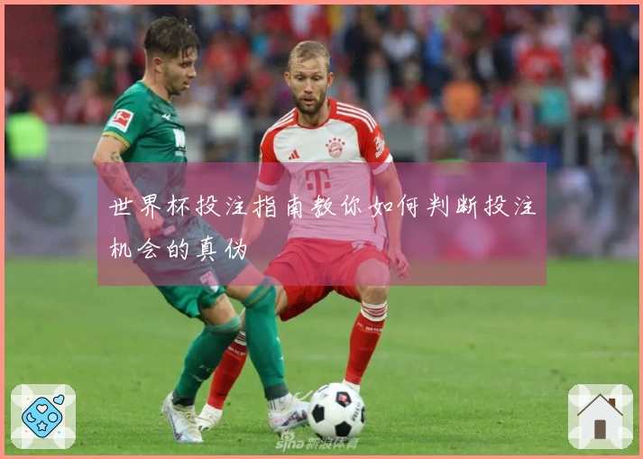 世界杯投注指南教你如何判断投注机会的真伪