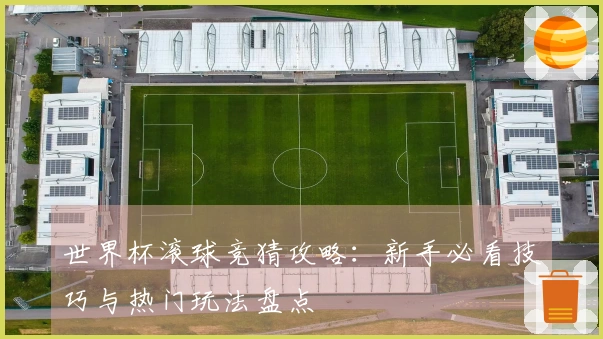 世界杯滚球竞猜攻略:新手必看技巧与热门玩法盘点