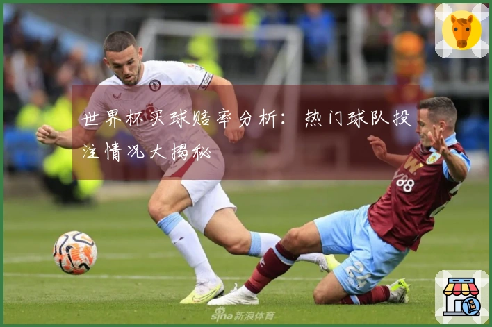 世界杯买球赔率分析:热门球队投注情况大揭秘