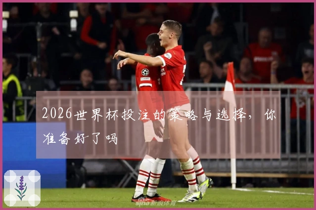 2026世界杯投注的策略与选择,你准备好了吗