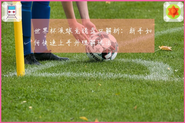 世界杯滚球竞猜盘口解析：新手如何快速上手并理解玩法
