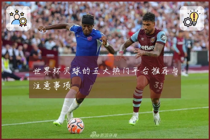 世界杯买球的五大热门平台推荐与注意事项