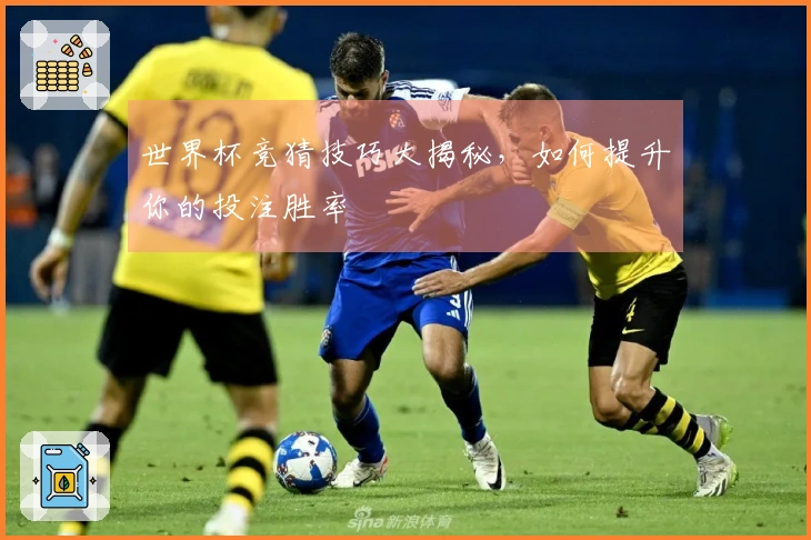 世界杯竞猜技巧大揭秘,如何提升你的投注胜率
