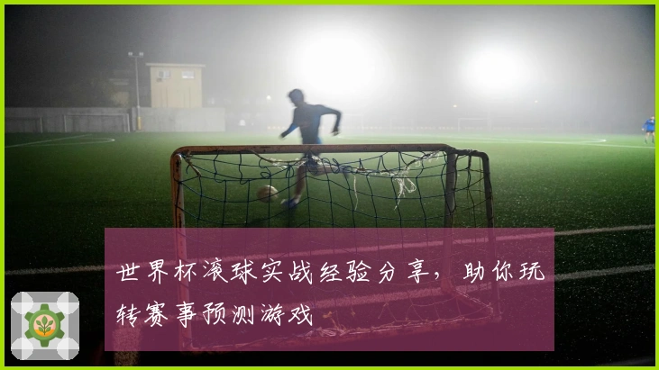 世界杯滚球实战经验分享,助你玩转赛事预测游戏