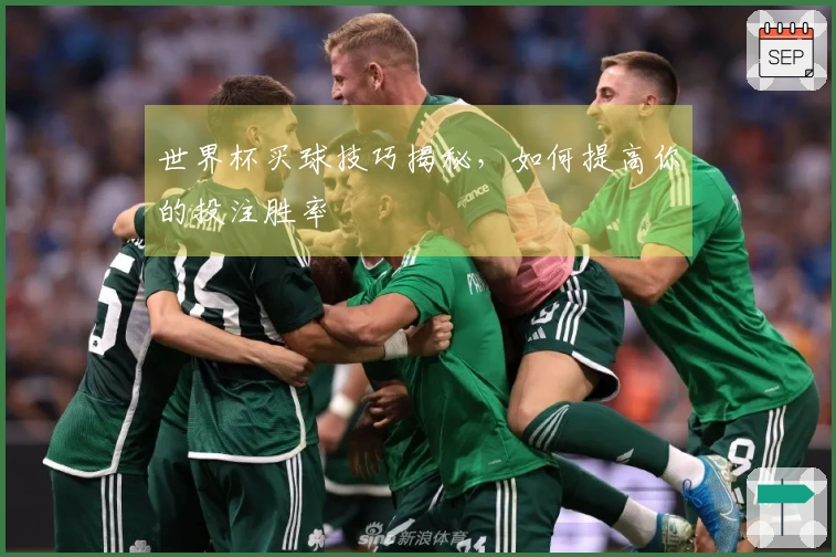 世界杯买球技巧揭秘,如何提高你的投注胜率