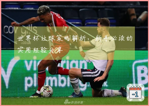 世界杯让球策略解析，新手必读的实用经验分享