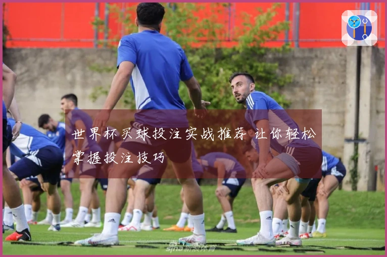 世界杯买球投注实战推荐 让你轻松掌握投注技巧