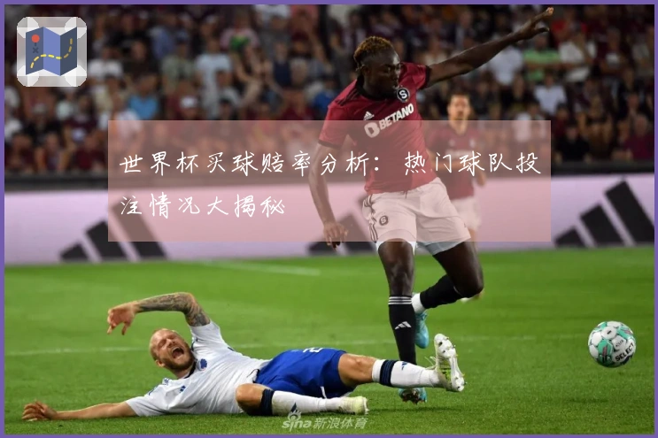 世界杯买球赔率分析：热门球队投注情况大揭秘