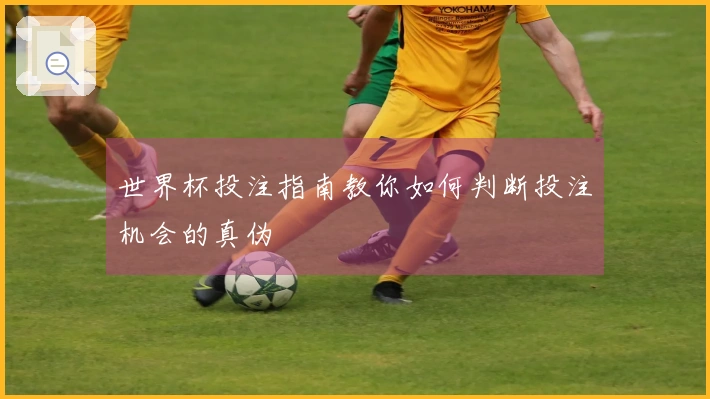 世界杯投注指南教你如何判断投注机会的真伪