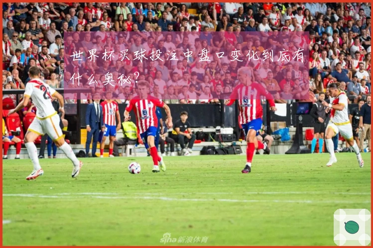 世界杯买球投注中盘口变化到底有什么奥秘？