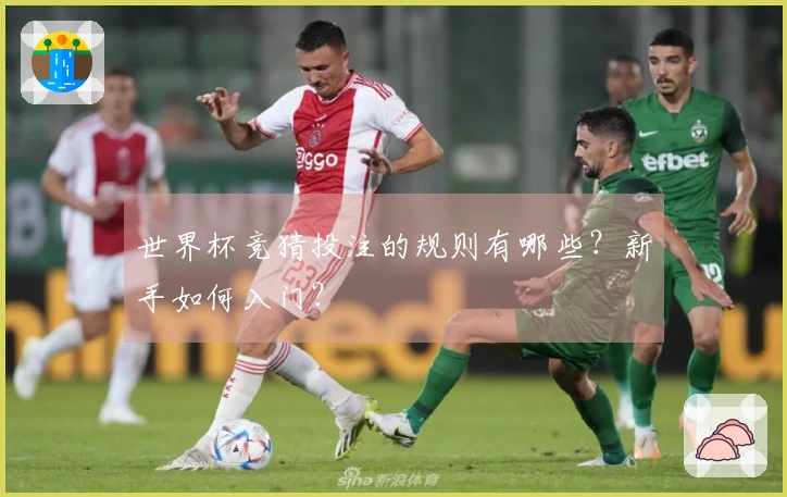 世界杯竞猜投注的规则有哪些？新手如何入门？