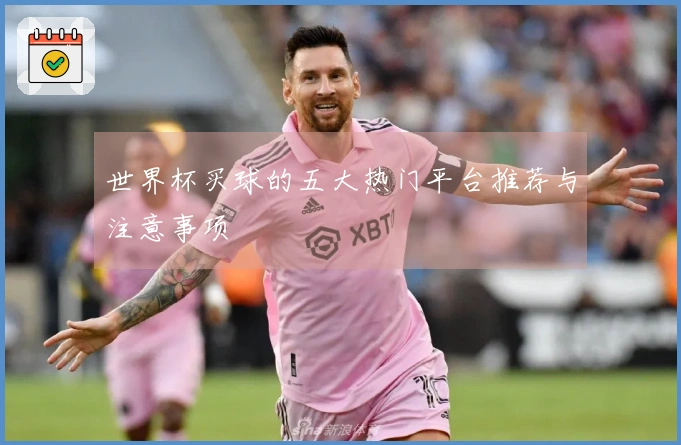 世界杯买球的五大热门平台推荐与注意事项