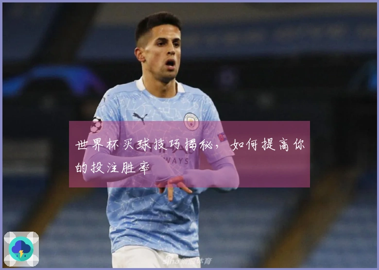 世界杯买球技巧揭秘，如何提高你的投注胜率